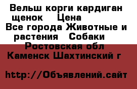 Вельш корги кардиган щенок  › Цена ­ 35 000 - Все города Животные и растения » Собаки   . Ростовская обл.,Каменск-Шахтинский г.